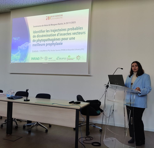 th&egrave;se-Margaux