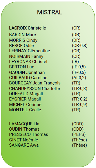 Mistral team Mistral team