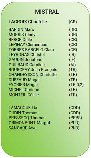 Mistral team