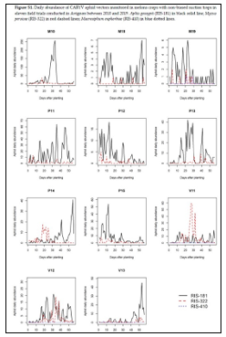 An example of multi-year monitoring for 3 aphid species known to be vectors of CABYV.