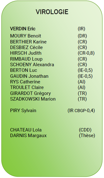 Organigramme de l'&eacute;quipe Virologie