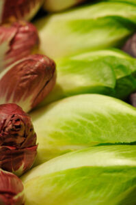 Endives
