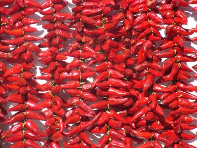 Espelette pepper