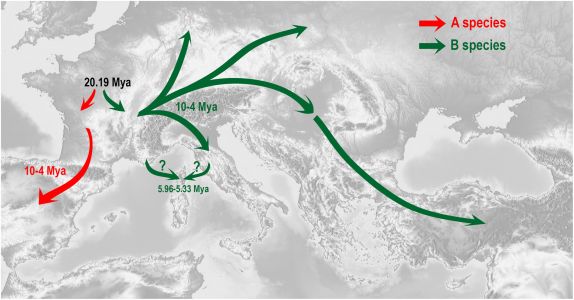 Darnis, M., Ravigné, V., Sauvion, N. (sous presse) Origin, divergence and migration routes of psyllids of the Cacopsylla pruni complex (Hemiptera: Psylloidea) inferred by approximate bayesian computation methods. Journal of Biogeography, e15177. DOI:10.1111/jbi.15177