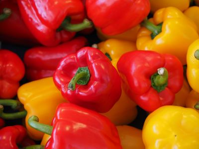 Capsicum annuum