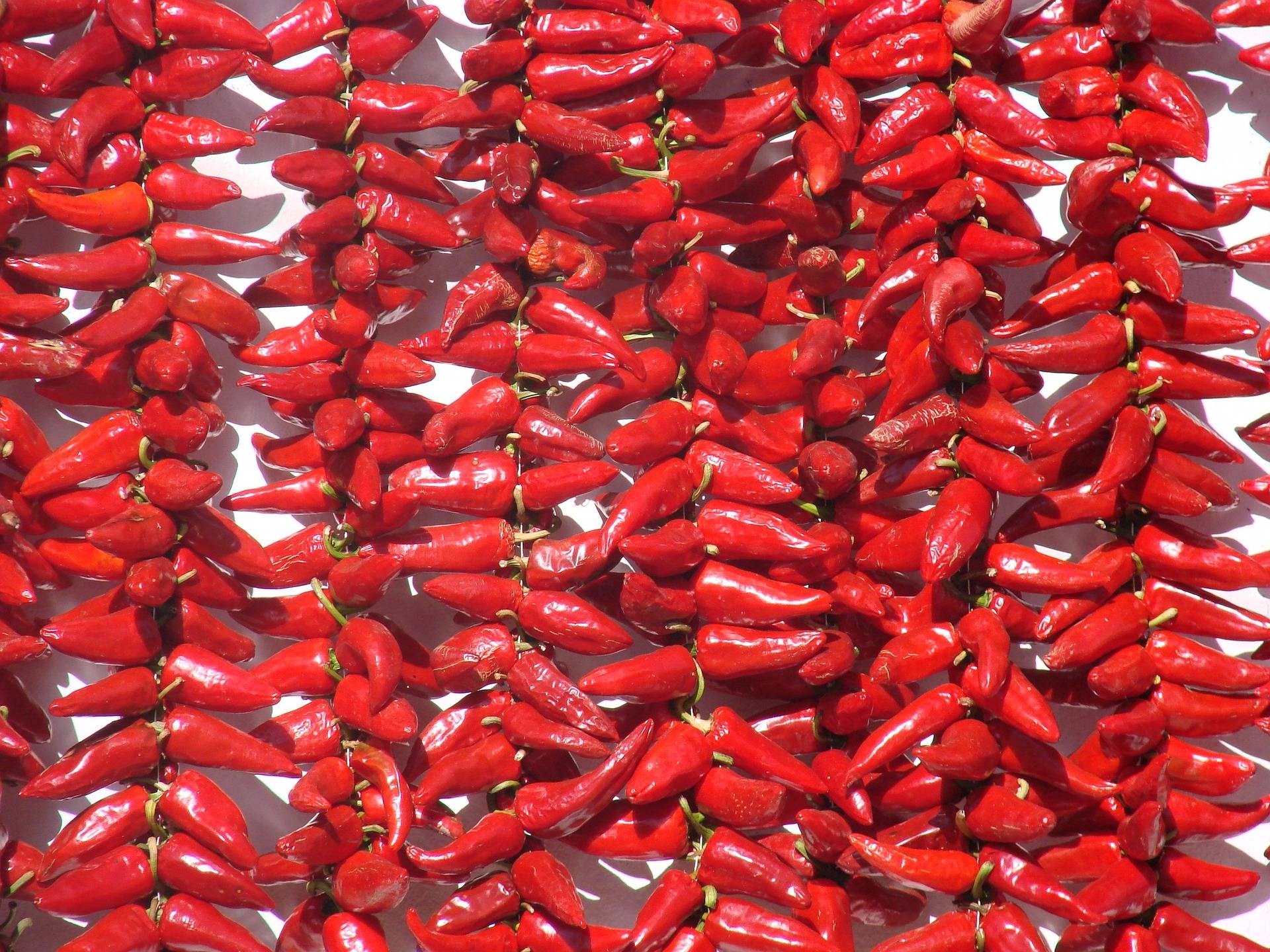 Espelette pepper