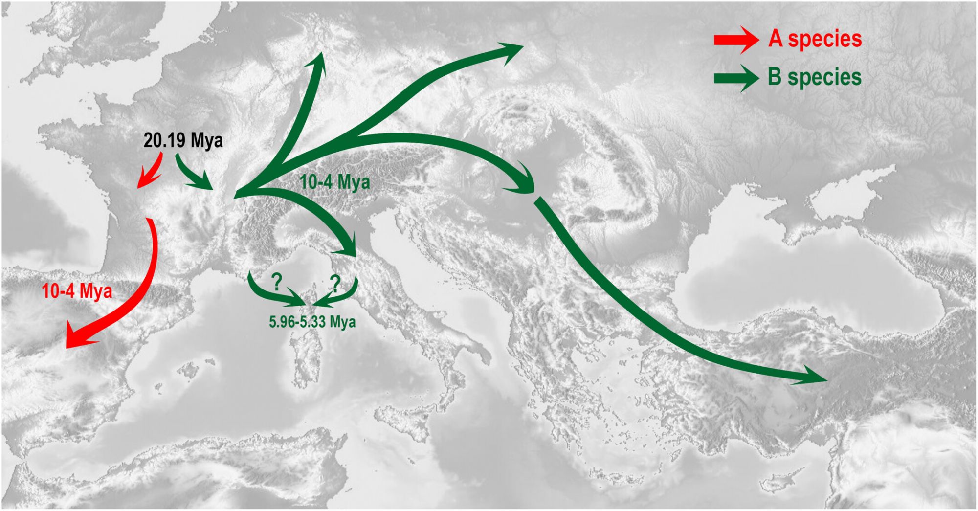 Darnis, M., Ravigné, V., Sauvion, N. (sous presse) Origin, divergence and migration routes of psyllids of the Cacopsylla pruni complex (Hemiptera: Psylloidea) inferred by approximate bayesian computation methods. Journal of Biogeography, e15177. DOI:10.1111/jbi.15177